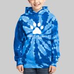 Youth Tie-Dye Hoodie - Katz Thumbnail